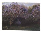 Les Repos Sous Les Lilas Claude Monet